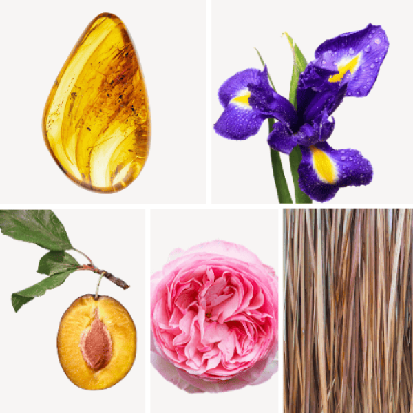 Duftnoten: Amber, Schwertlilie, Pflaume, Rose, Vetiver